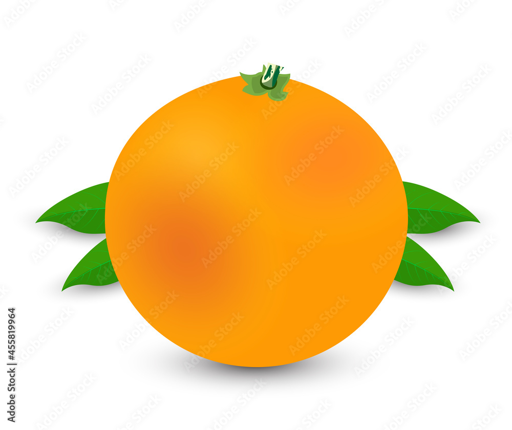 Orange vector with leaves isolated on white background. Vector fruit design. Orange vector with leaves isolated on white background. Vector fruit design.