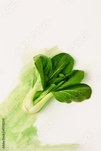 Bok Choy on white background with watercolor splash