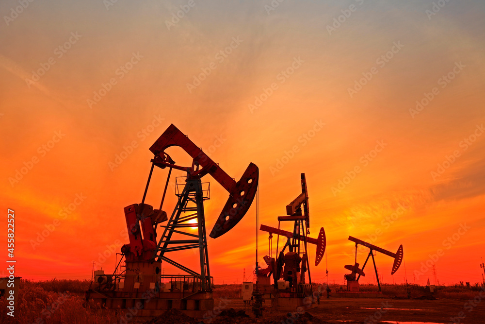 The oil pump, industrial equipment The oil pump, industrial equipment