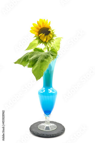 Sunflower in Blue Vase