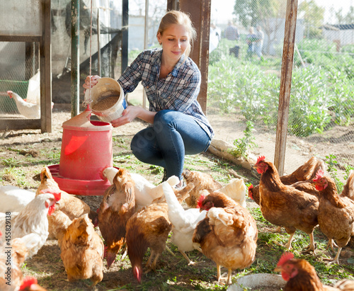 Young woman farmer caring for poultry. High quality photo
