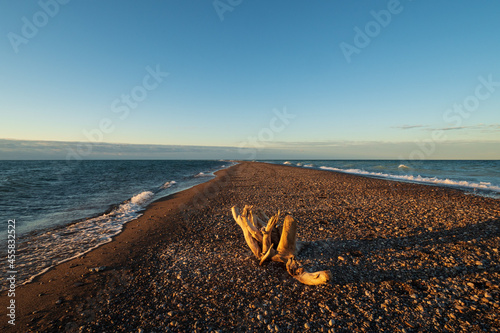 Point Pelee tip looking south,  Point Pelee National Park