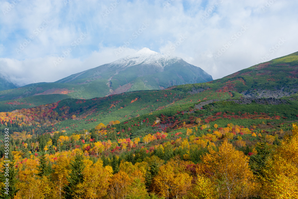 秋のカラフルな林と冠雪の山頂
