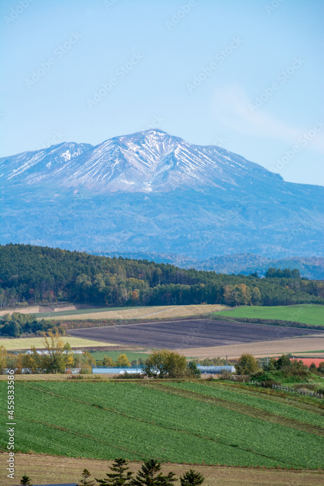 Fototapeta premium 秋の畑作地帯と山並み 大雪山 