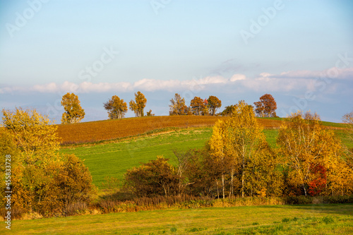 黄葉した秋の丘陵地帯 