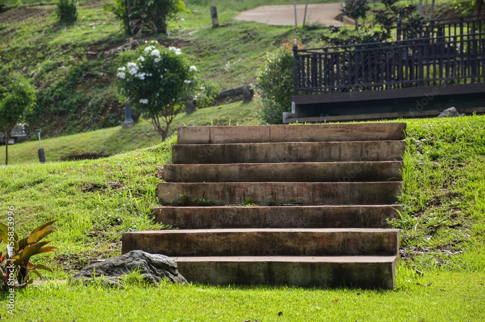 Obraz premium stair in nature garden at country Chiang Mai , Thailand