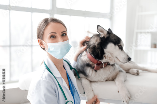 Veterinarian examining cute...