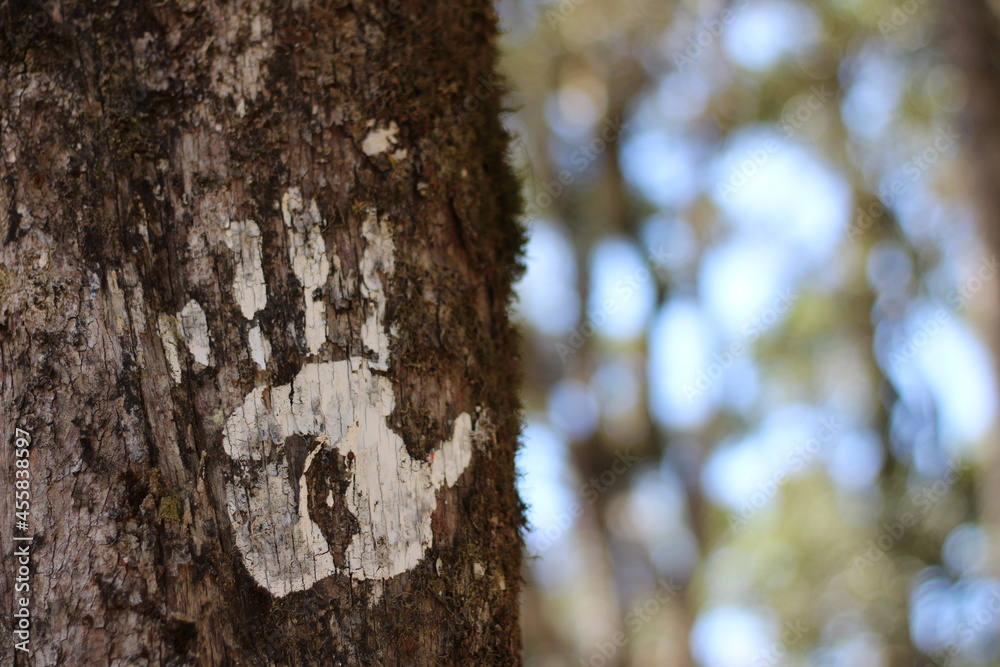 Fototapeta premium The hand on the tree