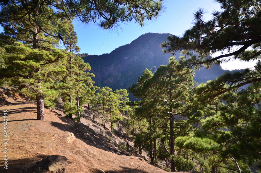 VISTAS DE LA CALDERA DE TABURIENTE, EN LA ISLA DE LA PALMA, ISLAS CANARIAS VISTAS DE LA CALDERA DE TABURIENTE, EN LA ISLA DE LA PALMA, ISLAS CANARIAS