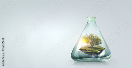 Tree growing inside clear glass bottle . Mixed media