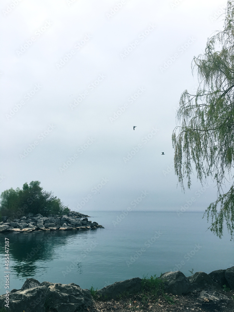 View of the island with trees, birds, lake and cloudy sky.