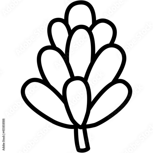 pine cones hand drawn outline doodle icon