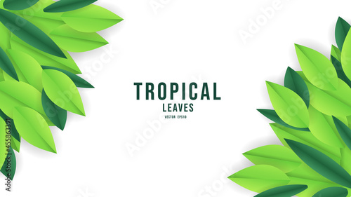 Plants and green leaves isolated on white background with copy space , Flat Modern design , illustration Vector EPS 10