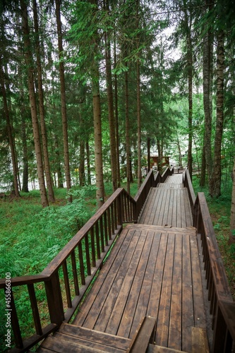 A path made of wooden flooring with a railing in the forest.