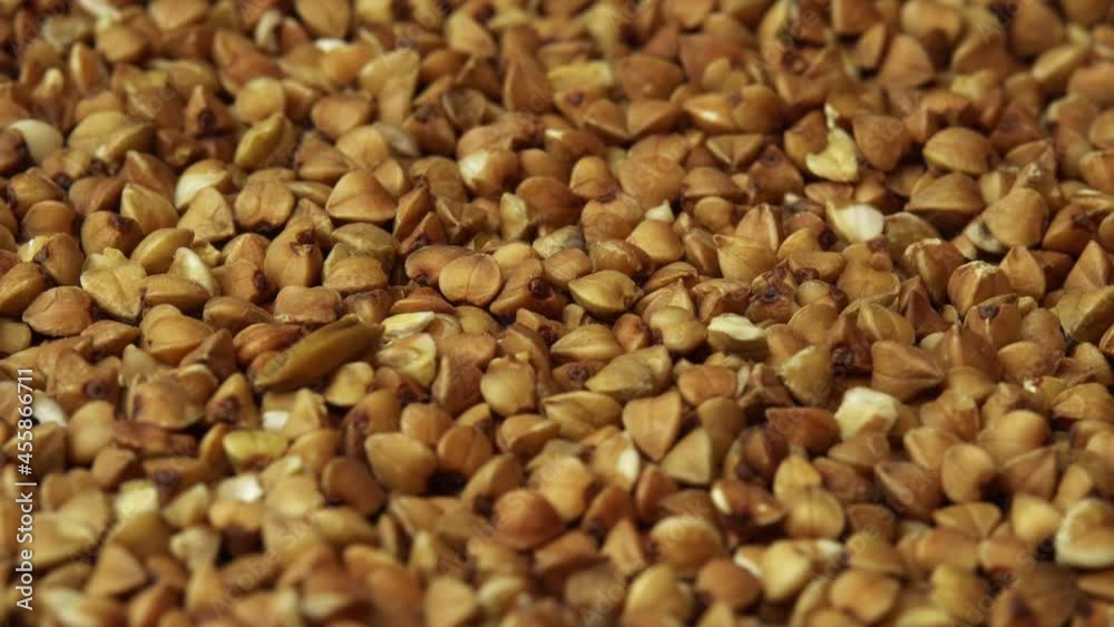 Buckwheat groats close-up rotating as a restaurant backdrop, common buckwheat is seeds Fagopyrum tataricum Buckwheat groats close-up rotating as a restaurant backdrop, common buckwheat is seeds Fagopyrum tataricum