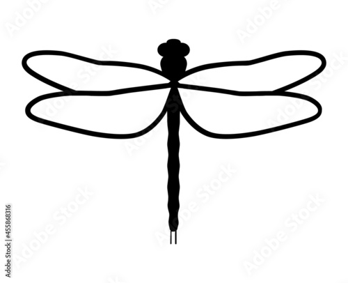 Dragonfly insect line art vector icon for apps and websites