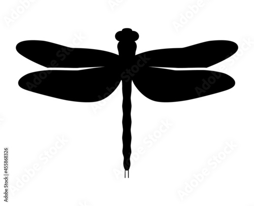 Dragonfly insect flat vector icon for apps and websites