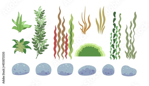 Set of sea stones, corals, algae. Underwater world. Aquarium or pond. Summer water. Isolated on white background. Illustration in cartoon style. Flat design. Vector art