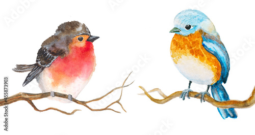 Set of watercolor baby birds isolated on white hand drawn illustration
