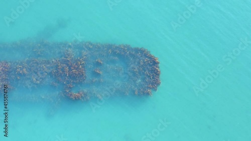 Seaweed growing on old sunken ship in clear blue water of Iceland, aerial photo