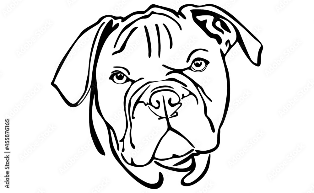 Dog With Line Art Style