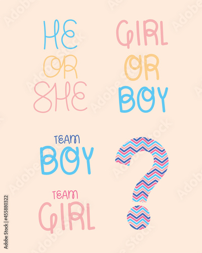 gender reveal phrases