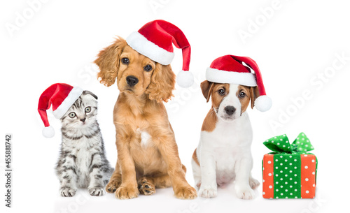 Cat and  puppies wearing red christmas hats sit with gift box and look at camera . isolated on white background © Ermolaev Alexandr