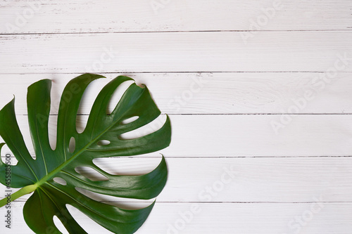 green monstera leaf on white wooden table, look like a simple and minimal style.