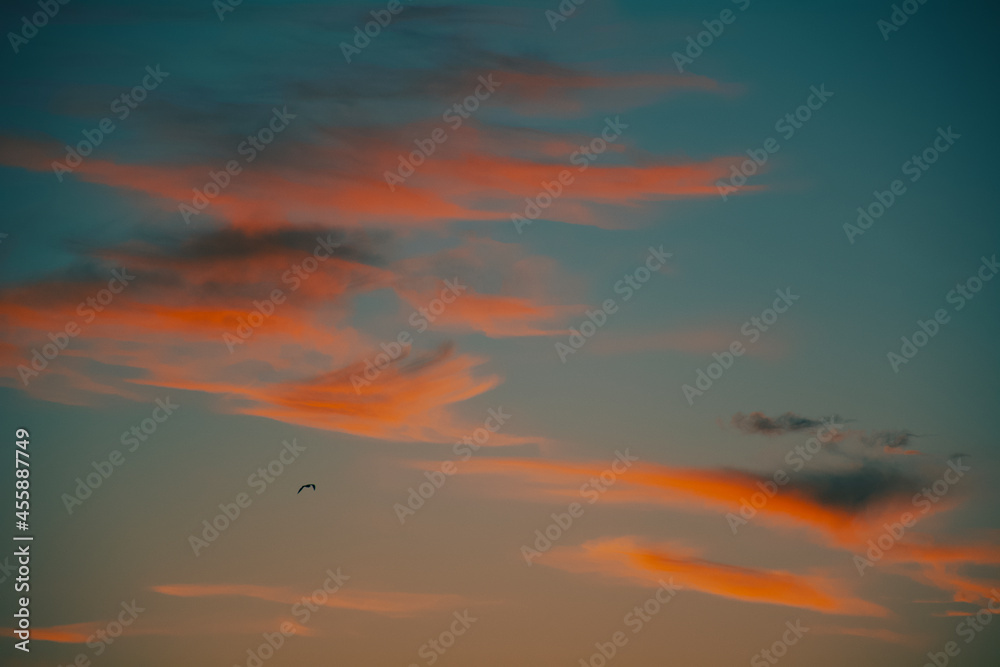 sunset in the sky sunset in the sky