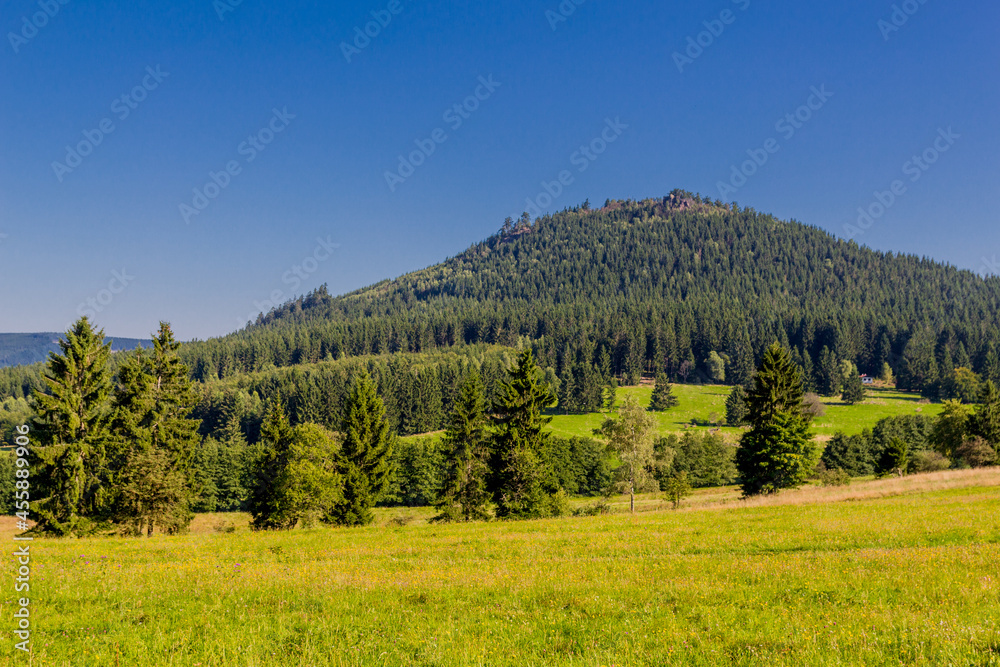 Schöner Spätsommer Spaziergang durch den Thüringer Wald - Steinbach-Hallenberg - Deutschland Schöner Spätsommer Spaziergang durch den Thüringer Wald - Steinbach-Hallenberg - Deutschland