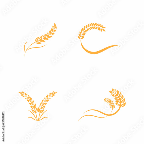 Agriculture wheat vector icon design