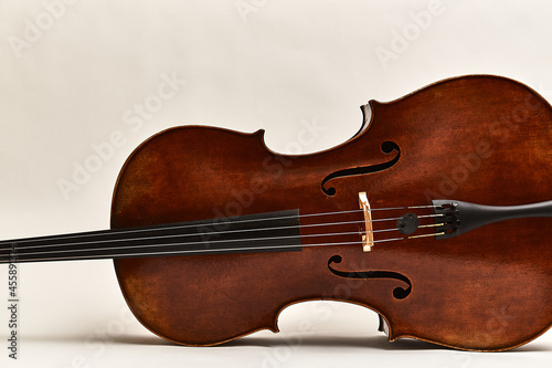 string instrument on white