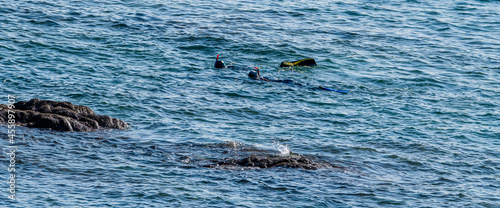 Wallpaper Mural Vendée, France; September 3, 2021: Two snorkel and wetsuit divers train in the reefs of Bretignolles Sur Mer. Torontodigital.ca