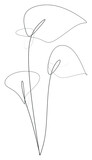 line art drawing style of White Calla Lilies flowers. Minimalist black linear sketch on white background. Home wall decoration. Vector illustration