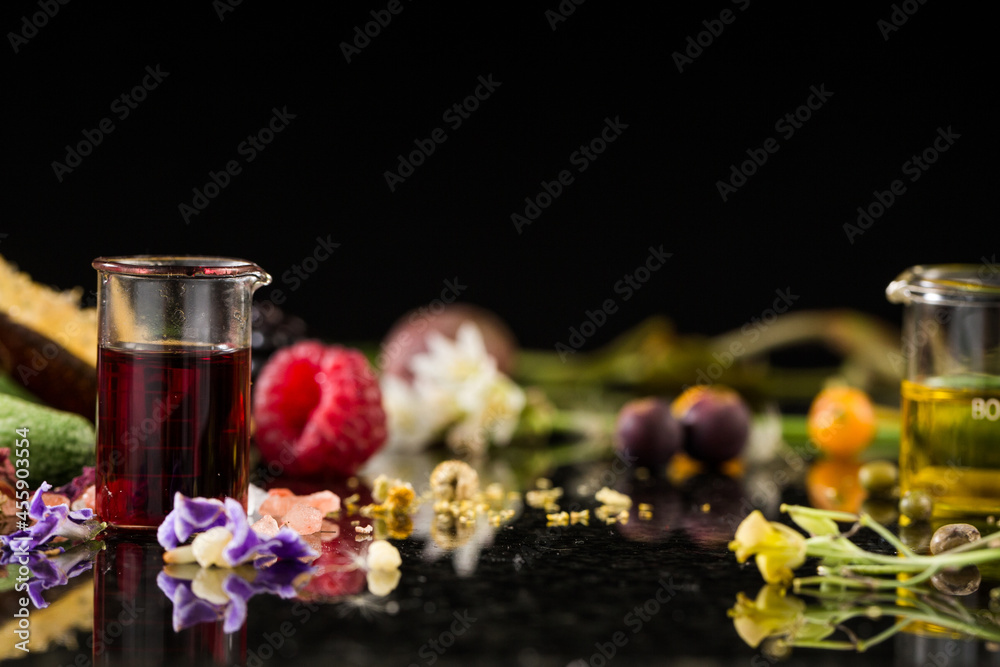 Botanical still life of organic herbs for skincare and naturopathy 