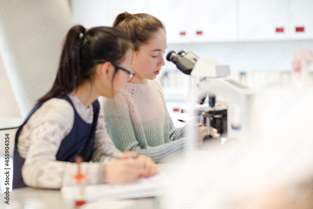 Girl student conducting scientific experiment at microscope in laboratory classroom Girl student conducting scientific experiment at microscope in laboratory classroom