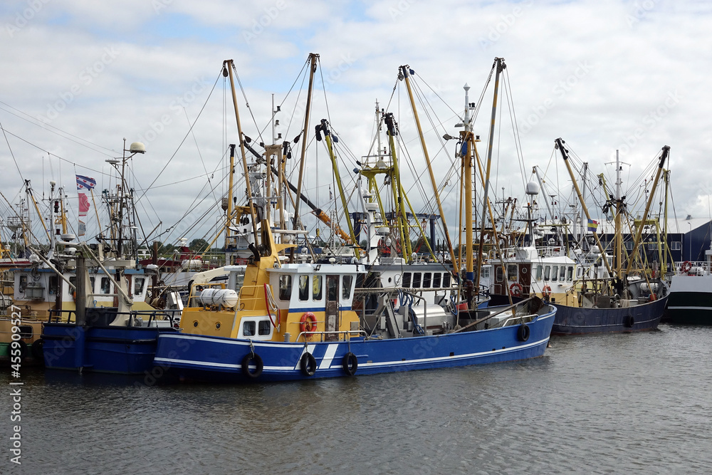 Fishermen boats in the harbor of Lauwewrsoog