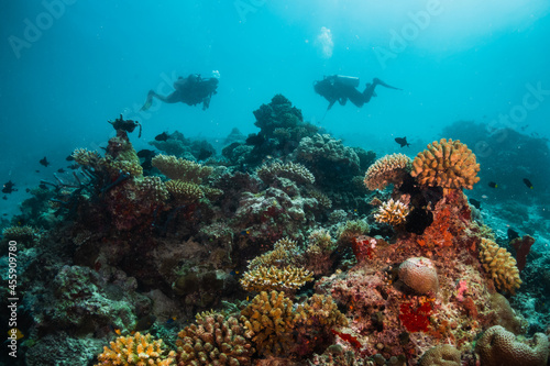Scuba diving, colorful underwater scene, divers enjoy observing coral and fish life underwater. Beautiful marine life, tropical ocean scene. © Aaron