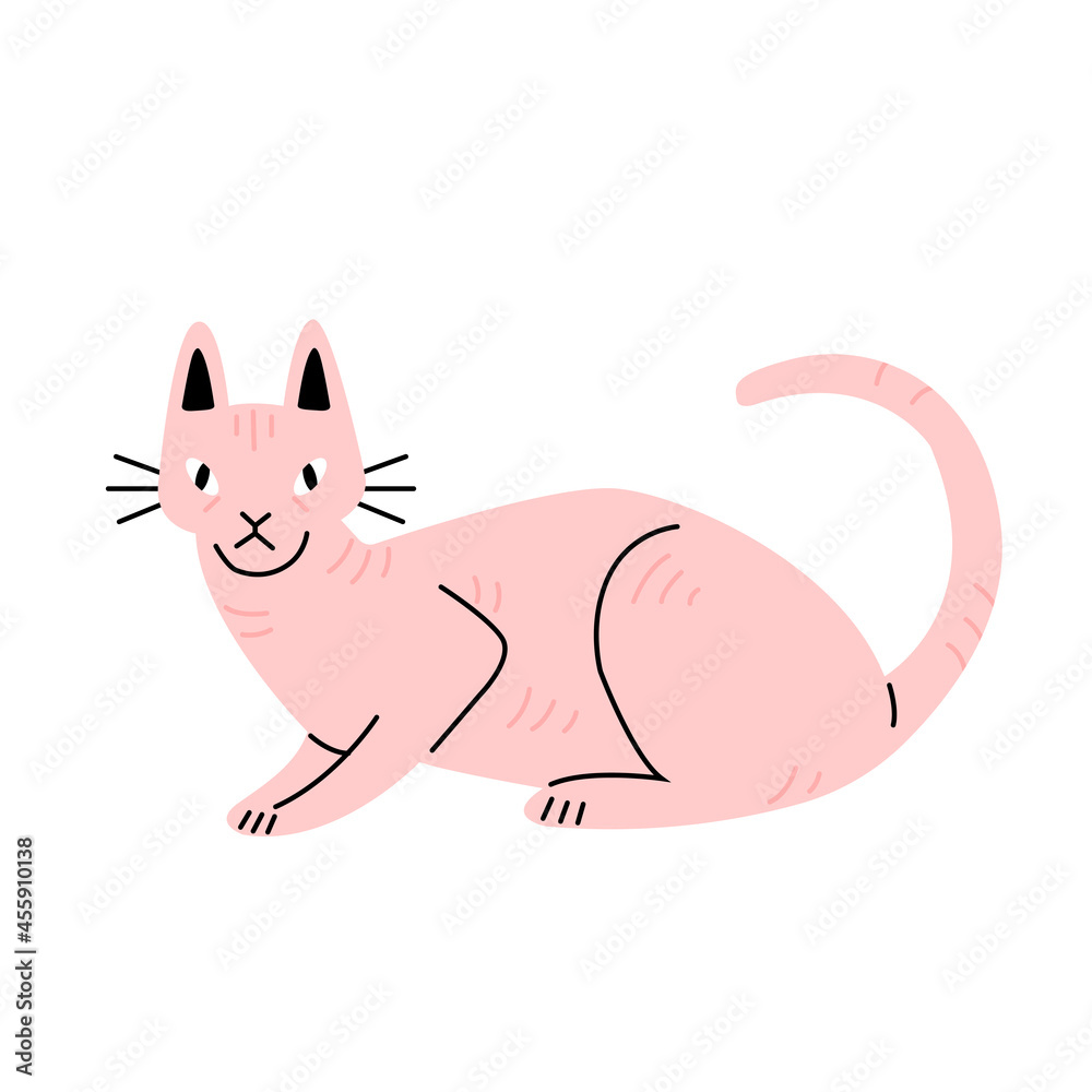 Sphynx cat in flat cartoon style. Vector illustration isolated on white background.
