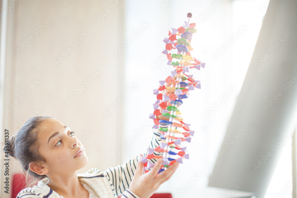 Girl student examining DNA model in classroom Girl student examining DNA model in classroom