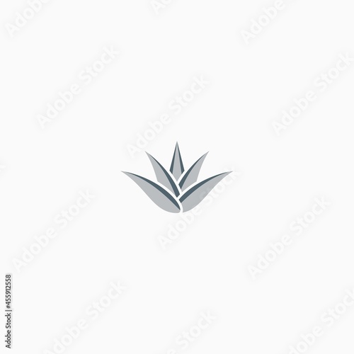 agave americana vector