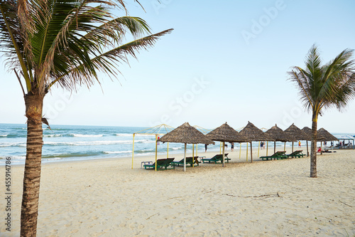 beach with palm trees and umbrellas