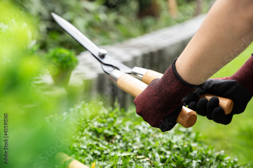 A young man is gardening. Preparing grass carpet before plant on lawn