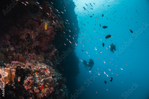 Underwater image of scuba diver among colorful coral reef in beautiful clear blue ocean