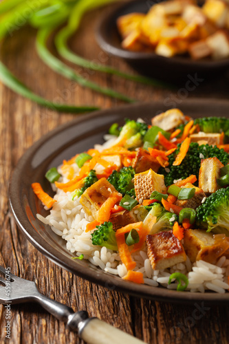 Tofu with rice and vegetables. Served on brown plate.