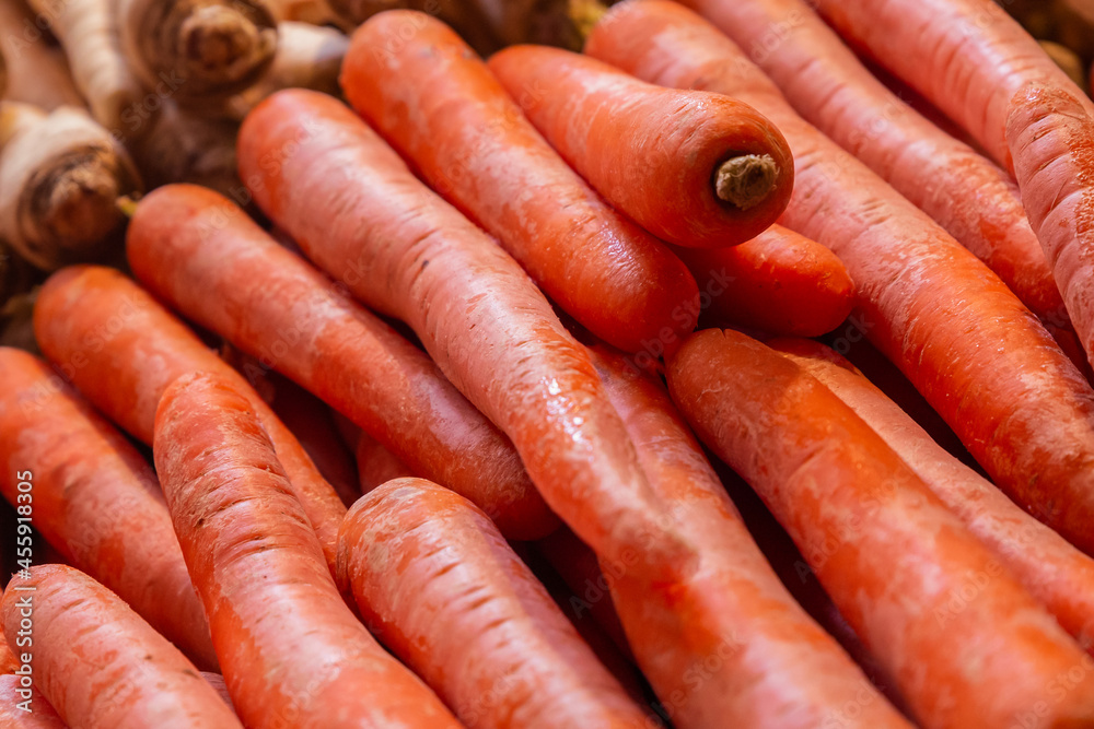 carrot orange root vegetable pattern vegetable background fresh carrot orange root vegetable pattern vegetable background fresh