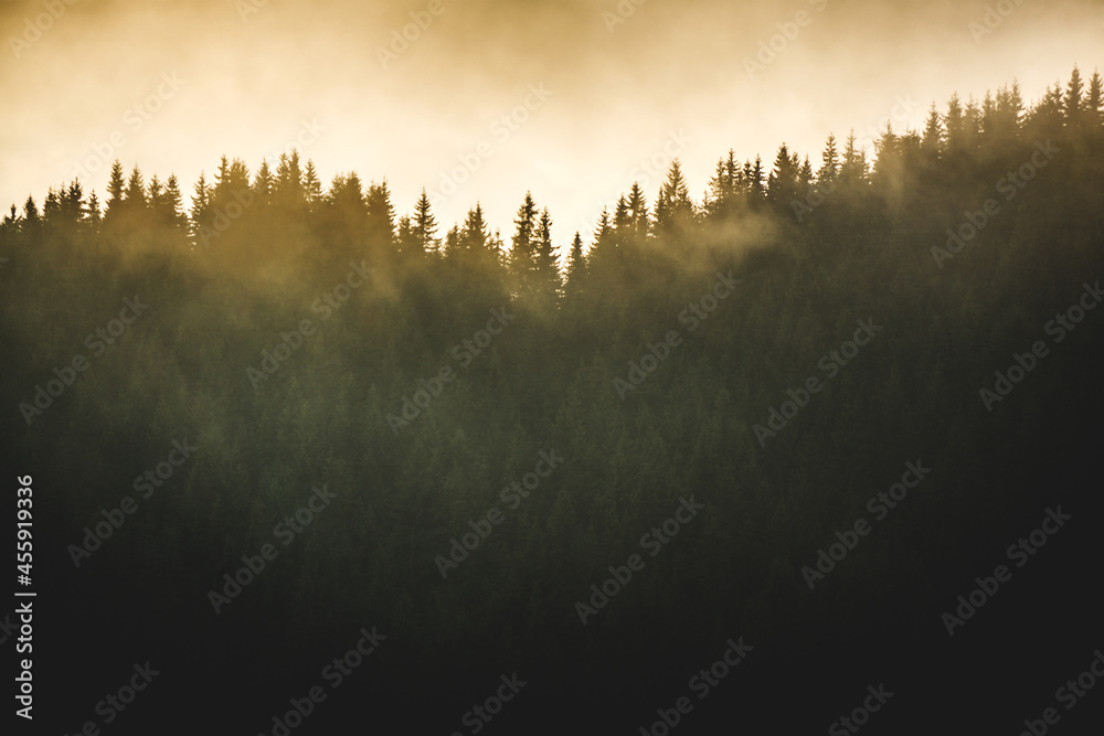 Obraz premium Misty evening in Carpathians