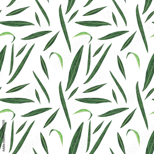 Fototapeta Naklejka Na Ścianę i Meble -  Seamless pattern of fireweed leaves on white background. Watercolor hand drawing illustration. Chamaenerion angustifolium.