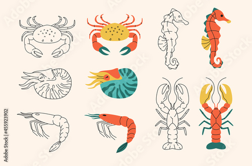 Sea life simple elements collection. Sea horse, lobster, crayfish, crawfish, flat isolated set. Different seafood  in trendy flat design.