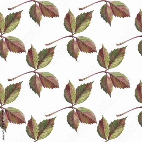 Autumn leaves in watercolor style. A beautiful seamless pattern with various autumn leaves Can be used as a background template for wallpaper, printing on fabrics, typography, paper.